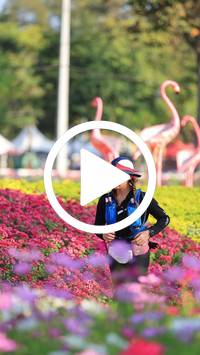 BIB:  <button type="button" onclick="openModal(27583585)" class="btn btn-primary btn-sm float-right" data-toggle="modal" data-target=".modal-high-quality">
                <i class="fa fa-download"></i> Download
                </button>